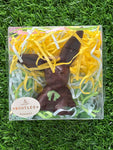Hallow Floppy Bunny