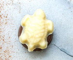 Turtle/Starfish Caramel (1 pc)