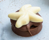 Turtle/Starfish Caramel (1 pc)